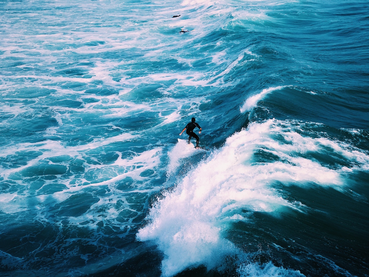 OMEGA 6 and 7: Boosting the Summer Swell and the 7 Common Misconceptions About the Future