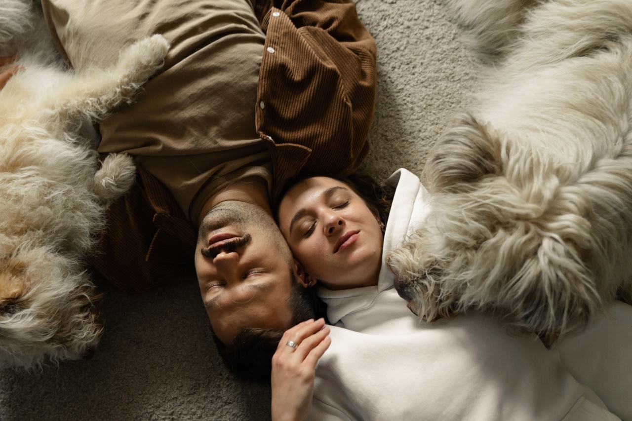 Let sleeping dogs lie – and other things we don’t do