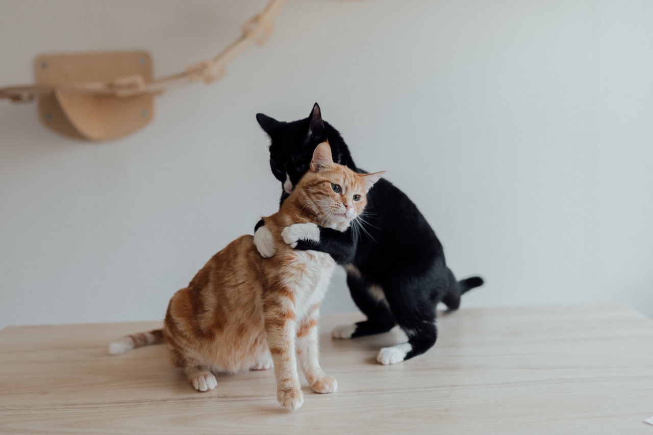 Eliminate the peskiest parasite affecting your pets