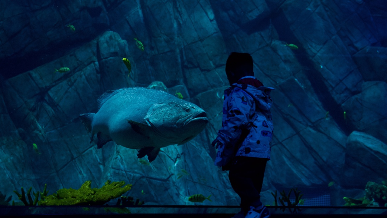 Excessive fish intake during pregnancy linked to child obesity