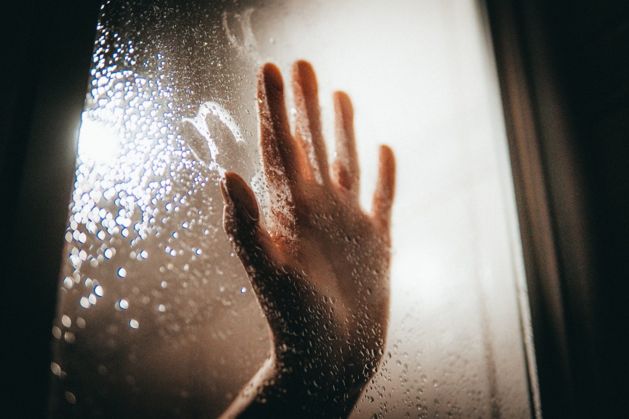 Is your dog scared of rain? Here’s how to help.