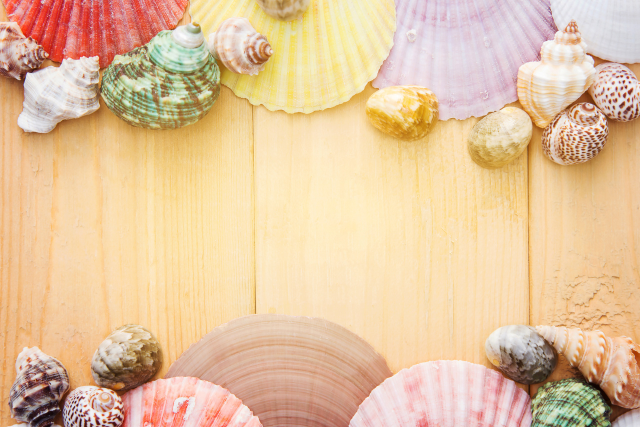 Shellfish Allergies in Children: Understanding the Basics