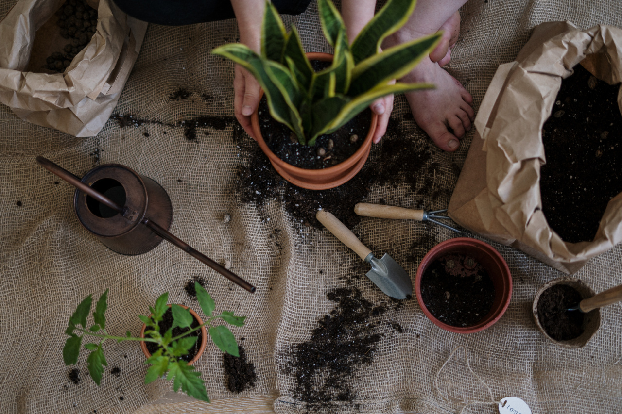 From Nature’s Pharmacy: Uncovering the Two Pain-Relieving Herbs