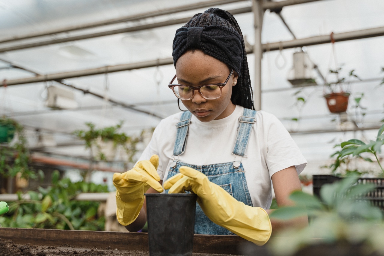 Understanding Pruning Techniques for Your Garden