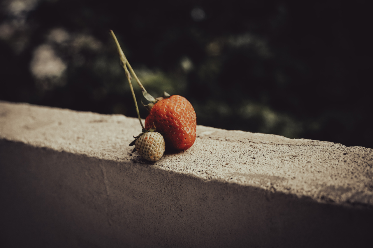 What are the best fruits for summer?