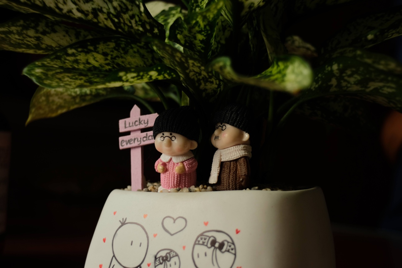 Alzheimer’s: The therapeutic benefits of dolls