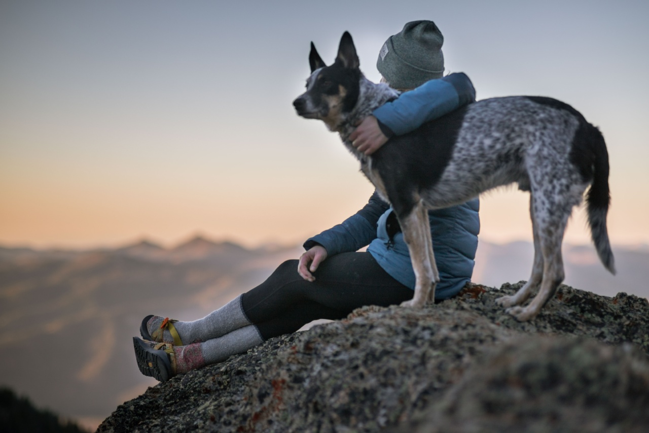 Does Your Dog Make It Hard to Detect Issues, Especially While Holding Mud?