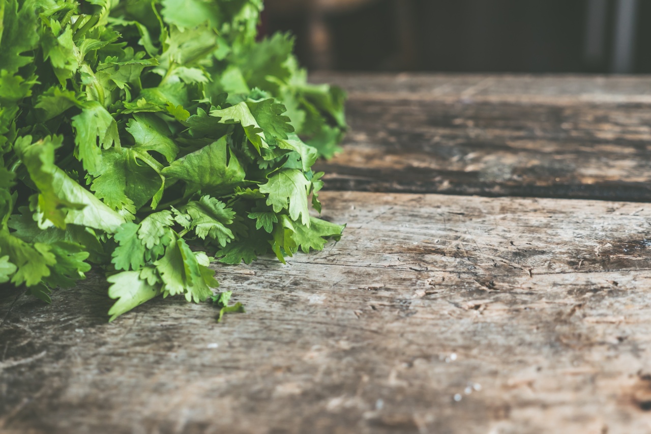 Healthy Puppy Eating Habits to Foster Growth