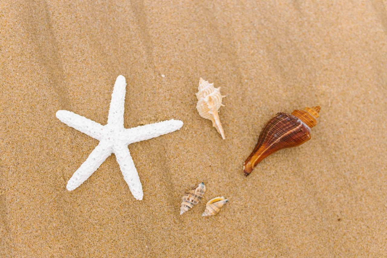 What are the top shellfish catches in England this year?