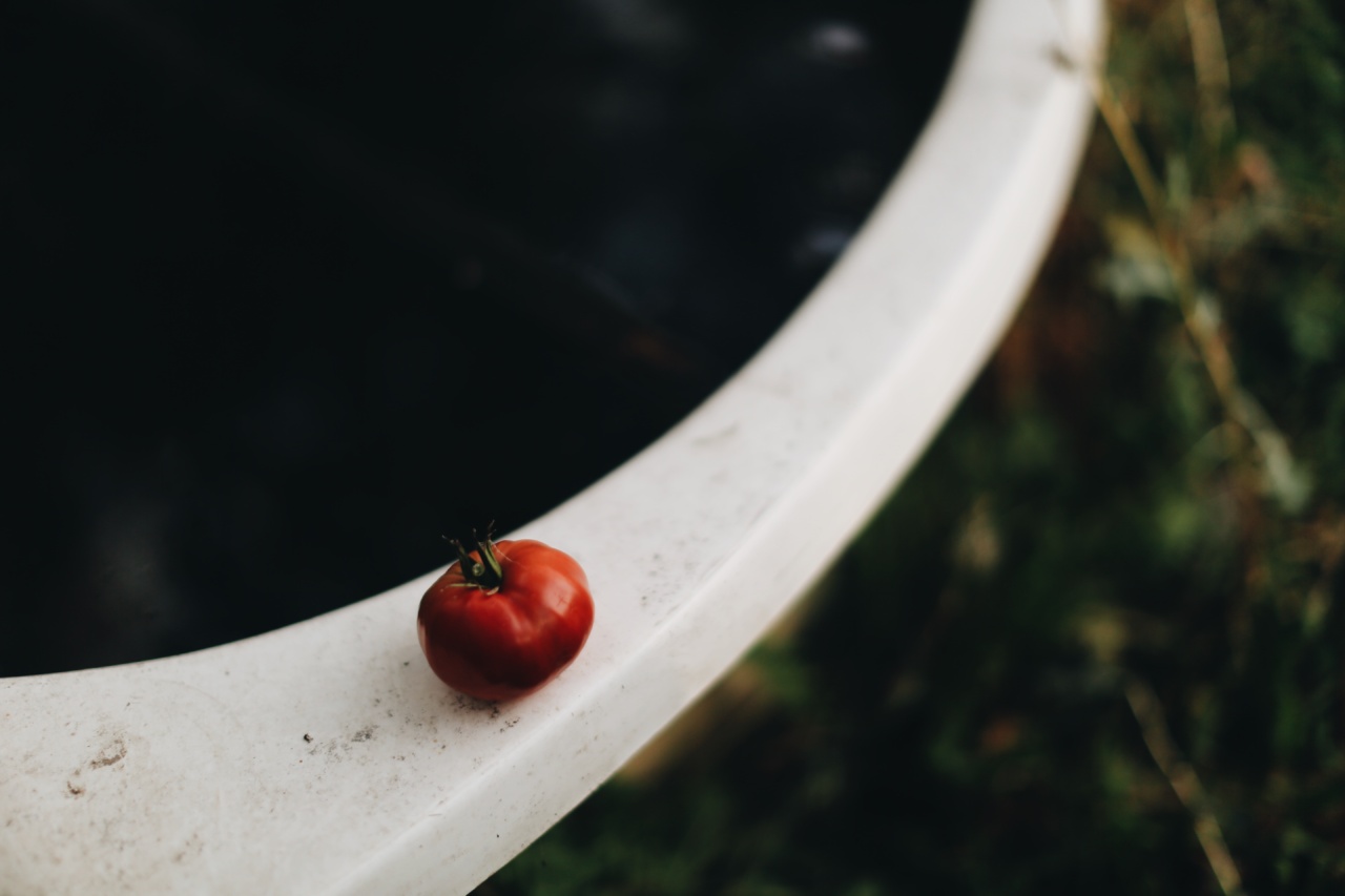 Simple Tomato Summer Scrub