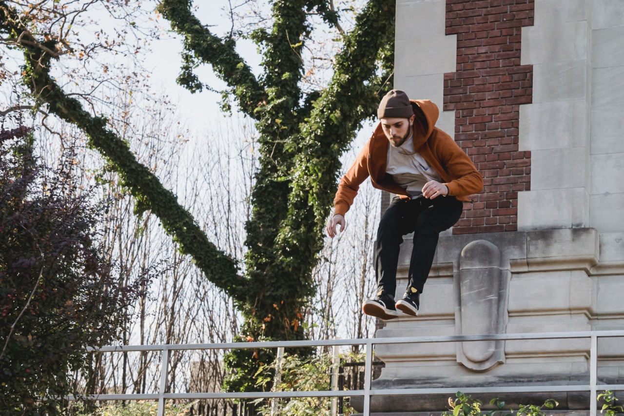 Gravity: The Force that Keeps You Grounded