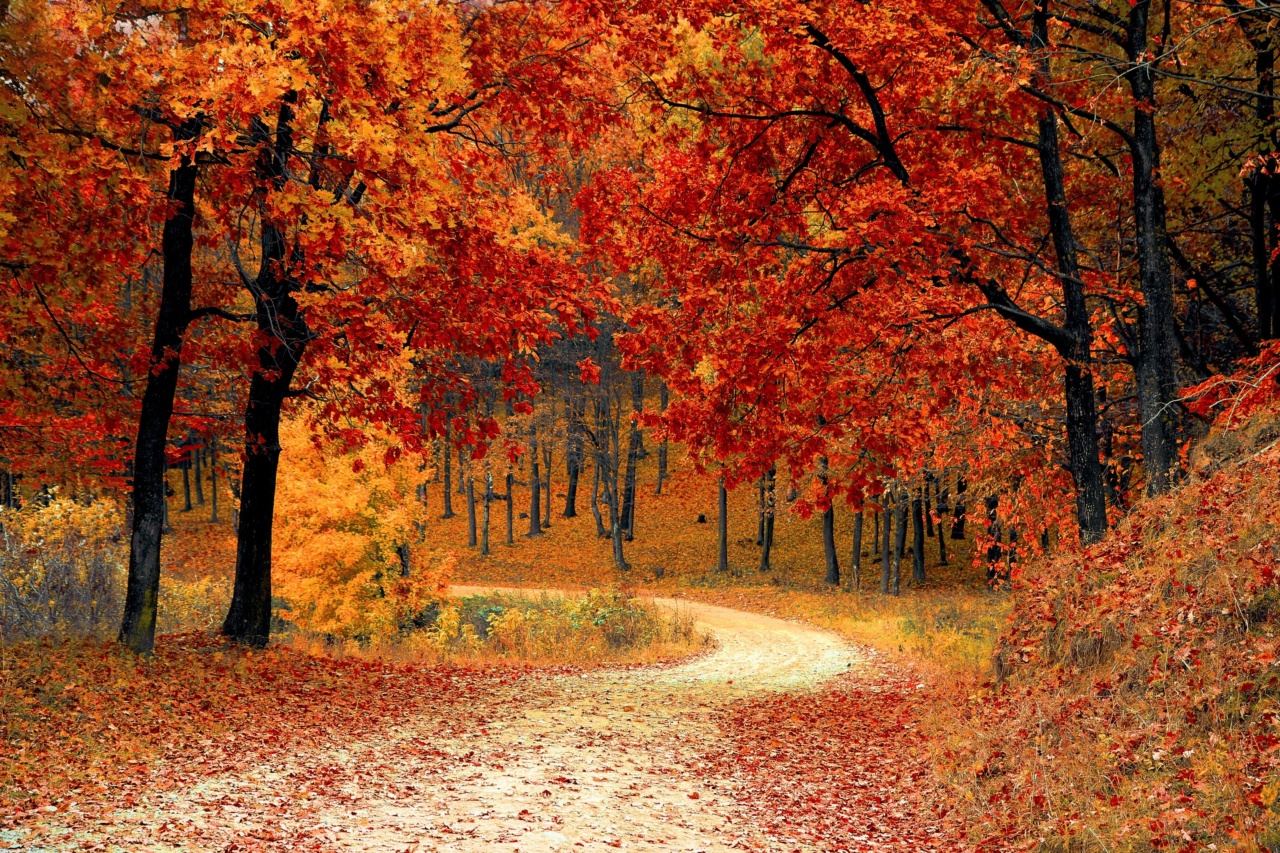 Shield your locks in the fall