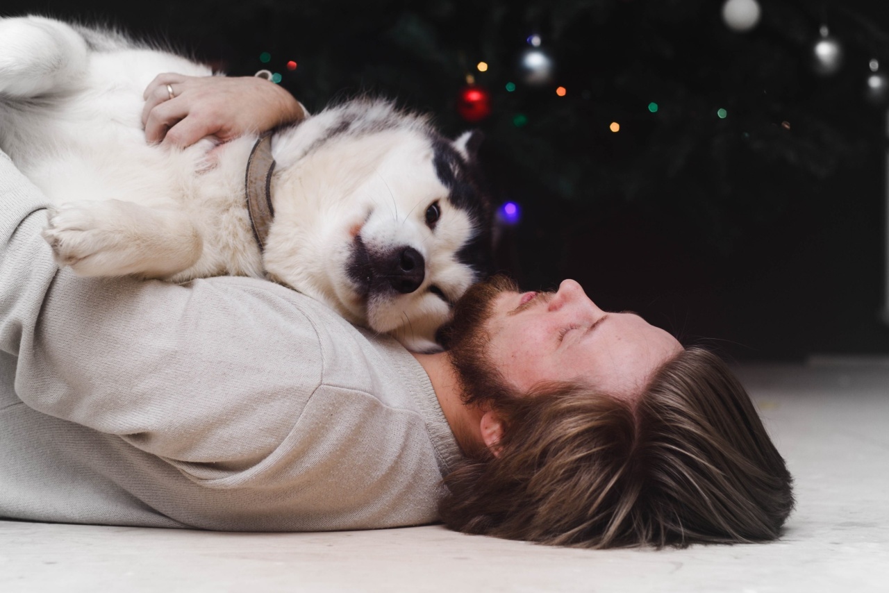 The impact of sleeping with a dog on owner’s sleep patterns
