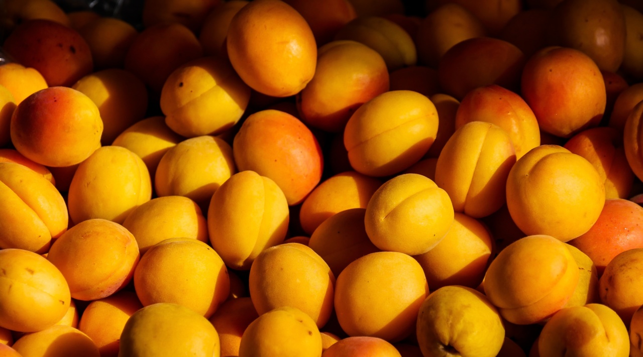 Peach: Nutrition information and health benefits
