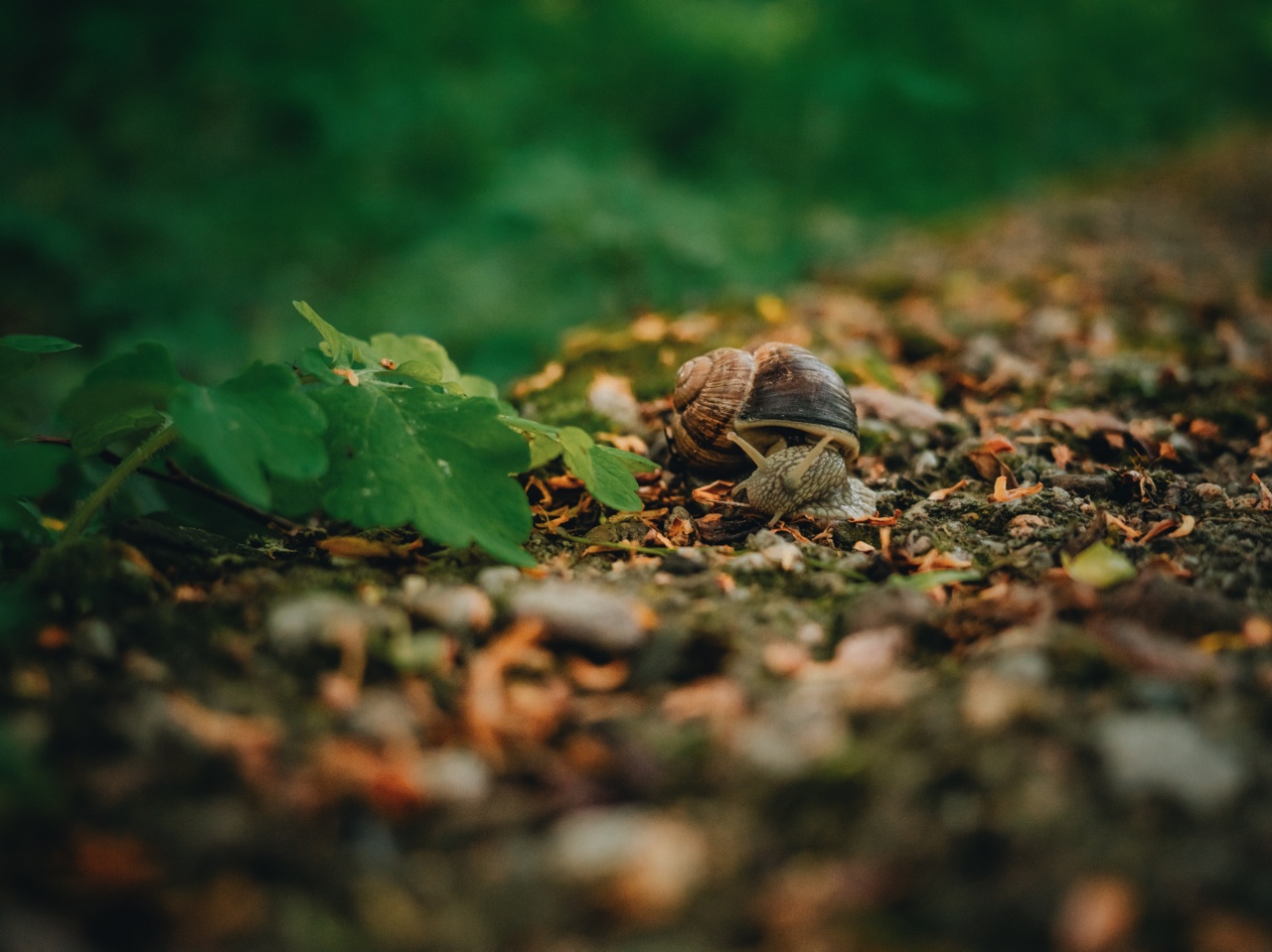 What causes slow movements: An overview