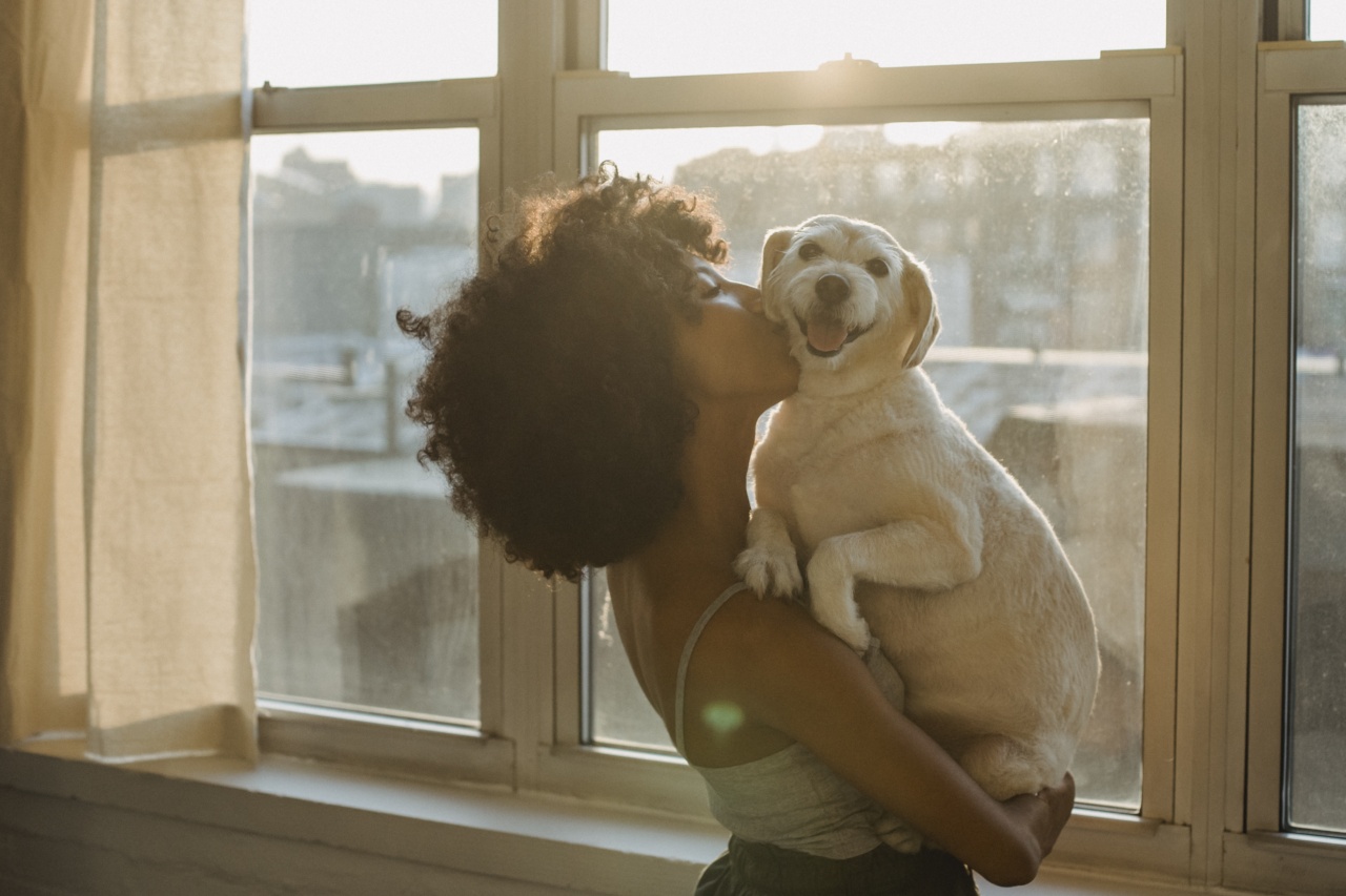 Why it may be better to avoid dog kisses