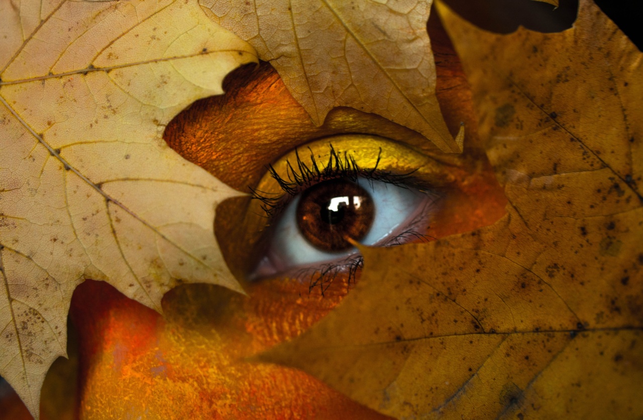 Orange Marvel: Keep Your Vision and Immune System Strong