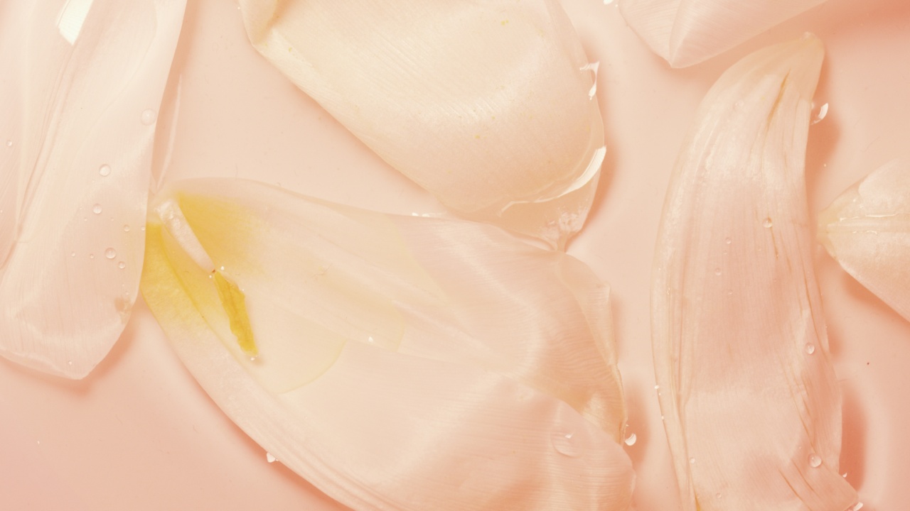Decleor Lift & Firm Day Cream – Dry Skin