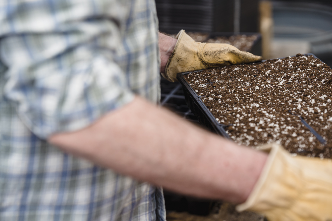 5 Natural Ways to Remove Pesticides and Germs from Your Produce