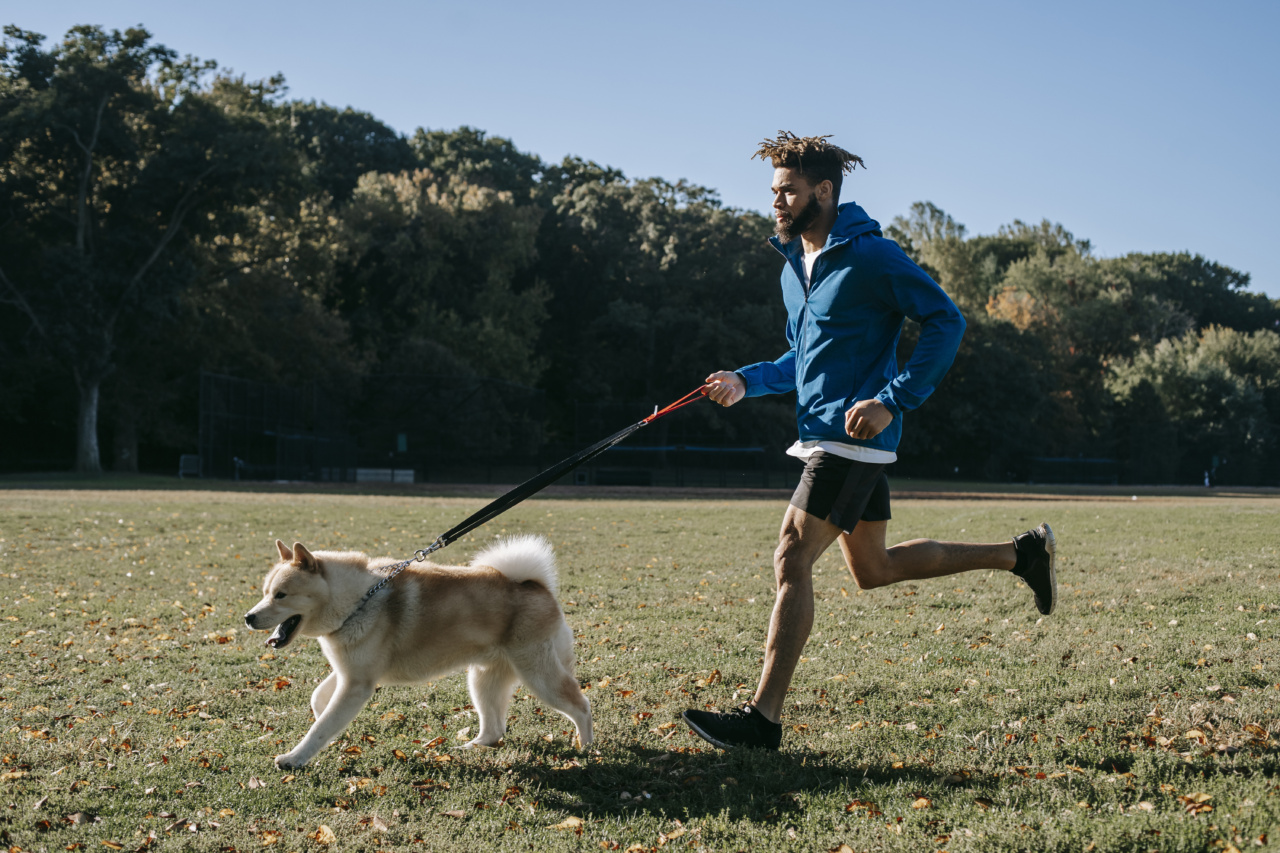 How your actions can hurt your loyal pet