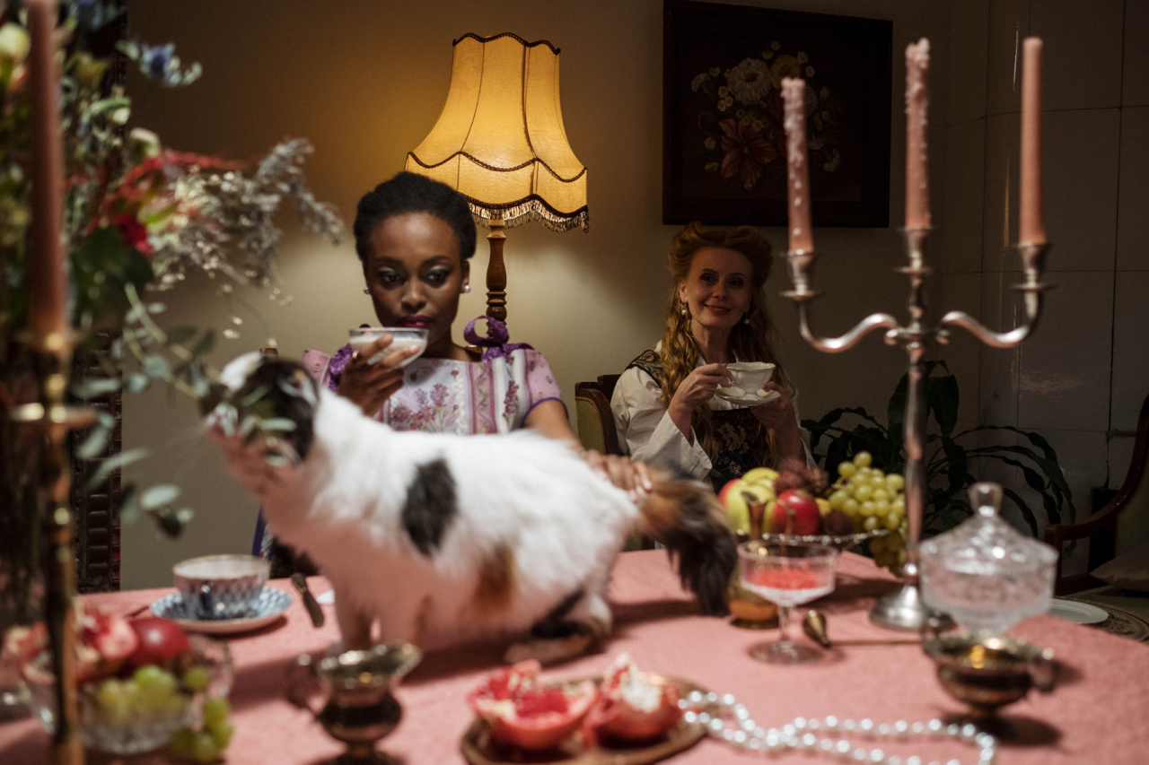 Foods for Purr-fect Dental Health: A Guide for Cat Lovers