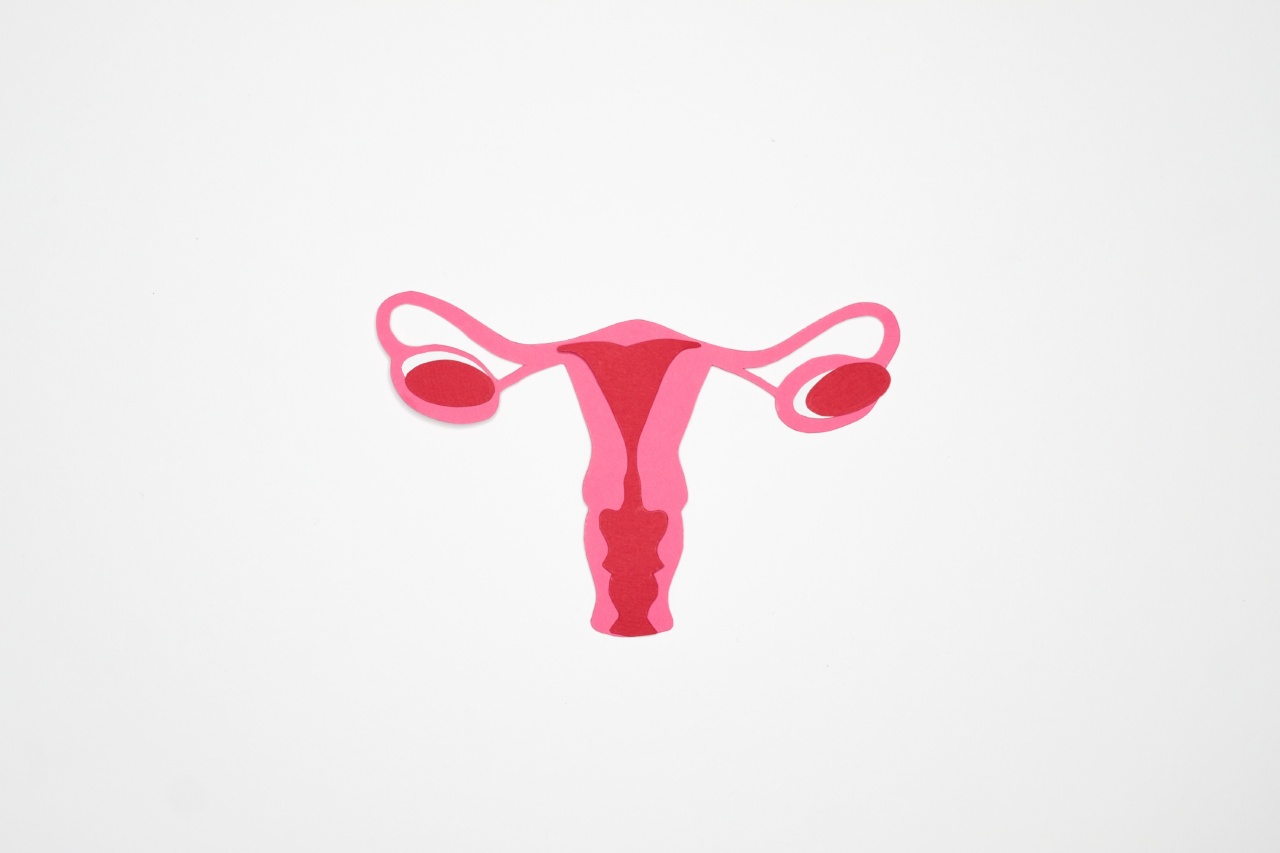 Bisphenol A negatively impacts ovarian health