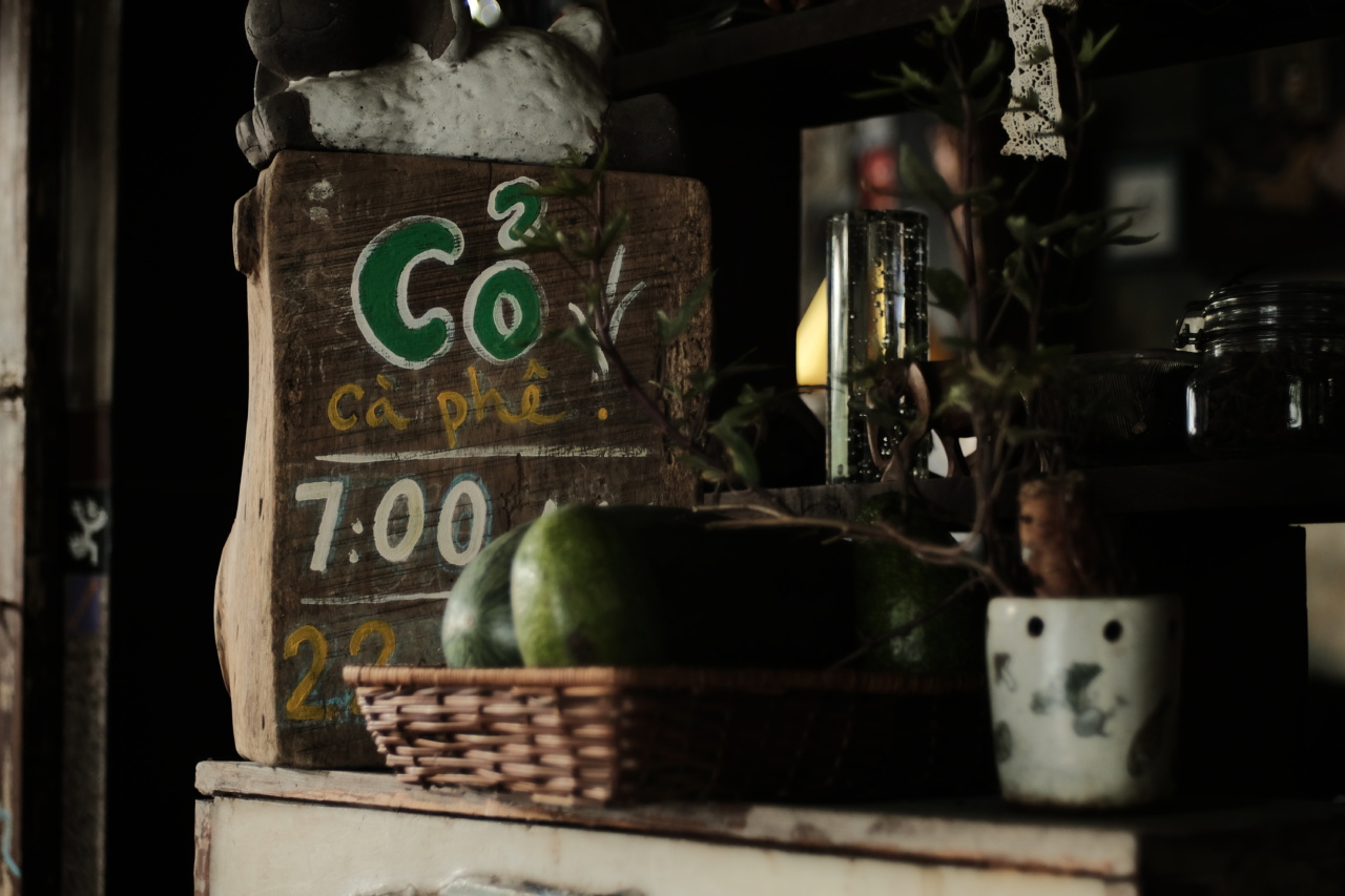 The benefits of having indoor plants in your home