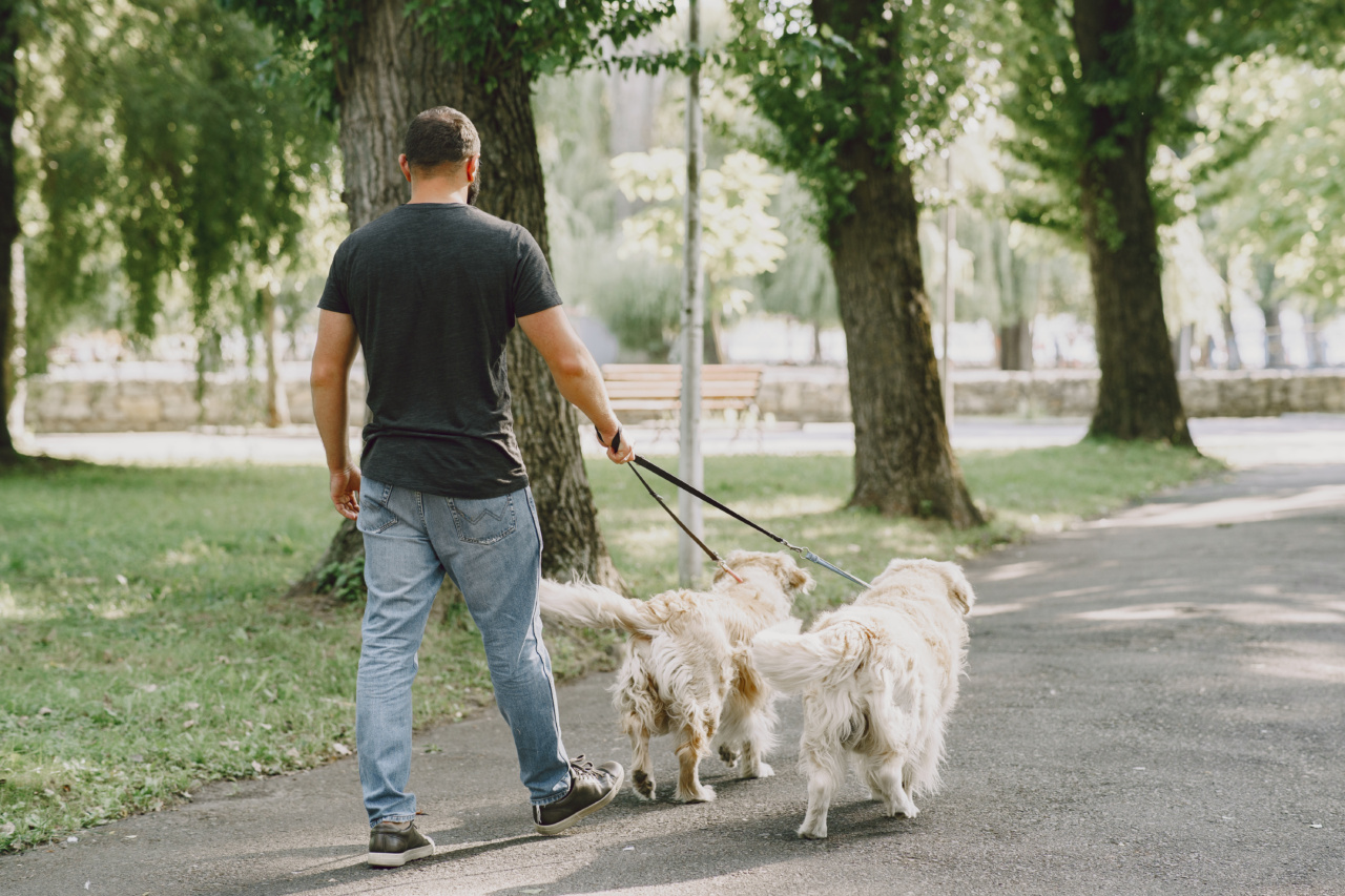 Alzheimer’s Assistance Dogs