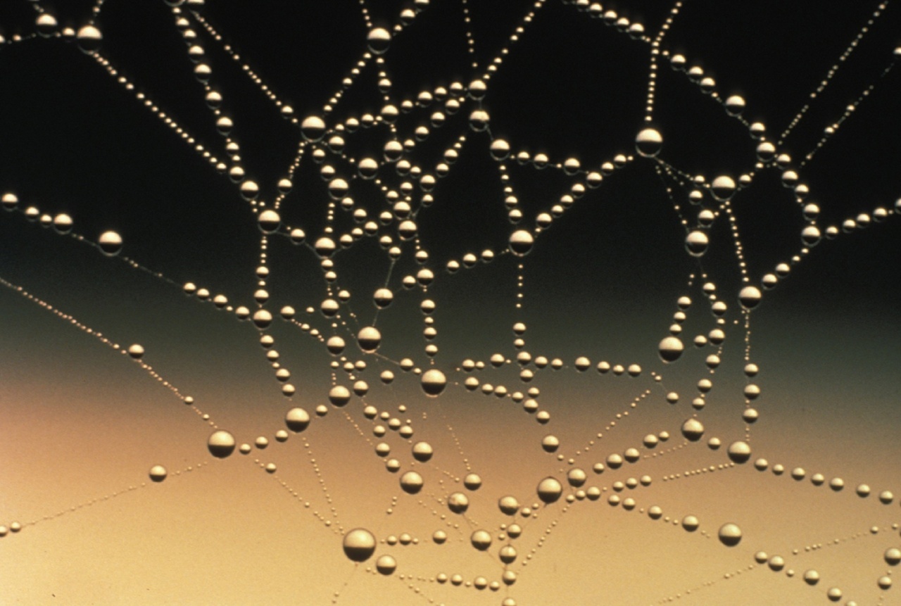 Striving for perfection: The ultimate trap
