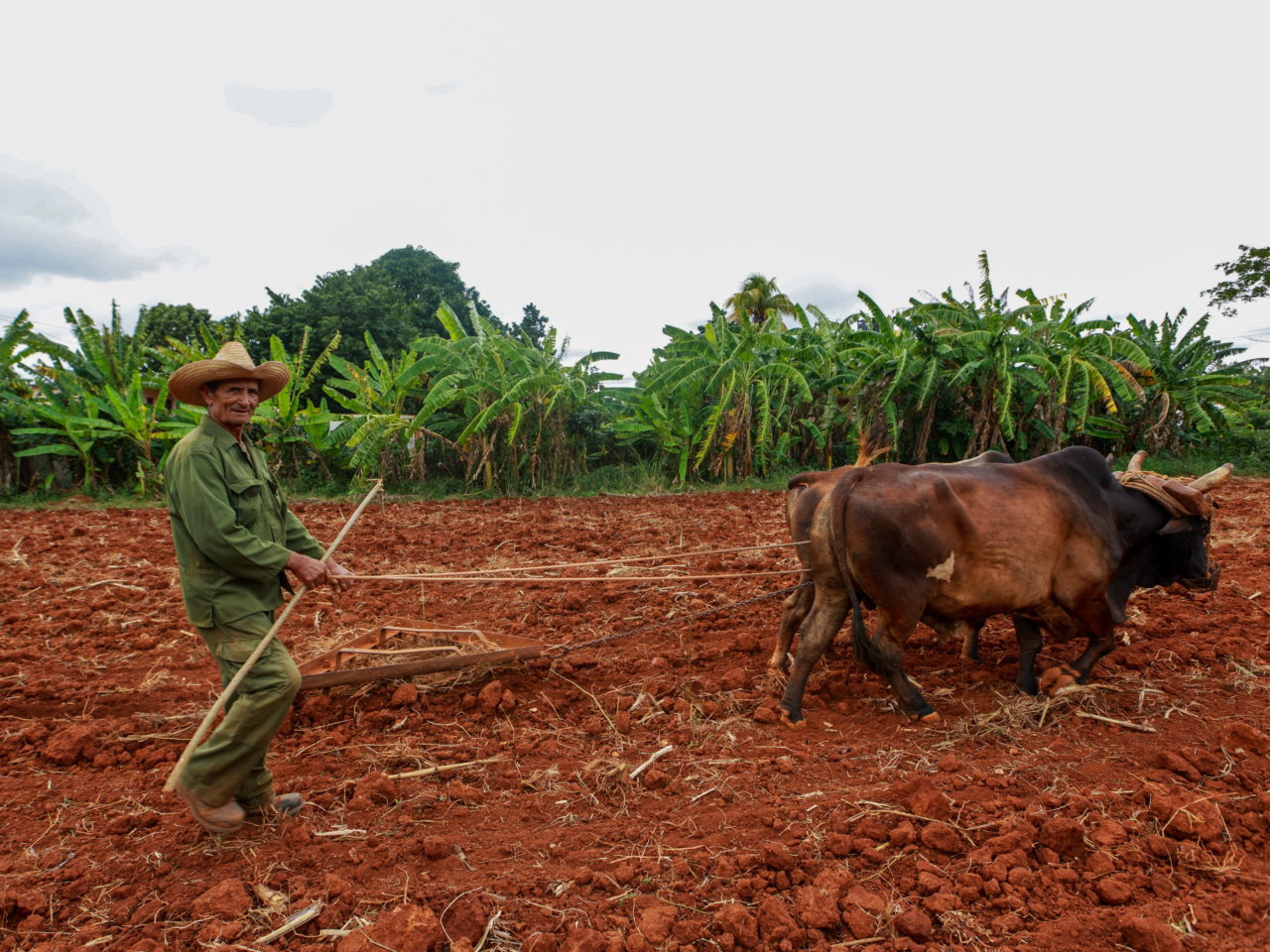 Defending Farmers’ Livestock and Crops