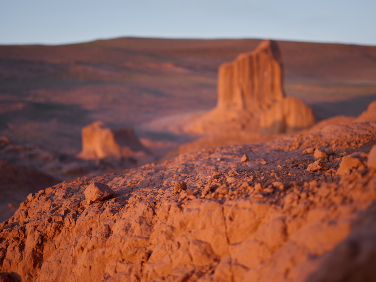 Seven Beauty Secrets from the Desert!