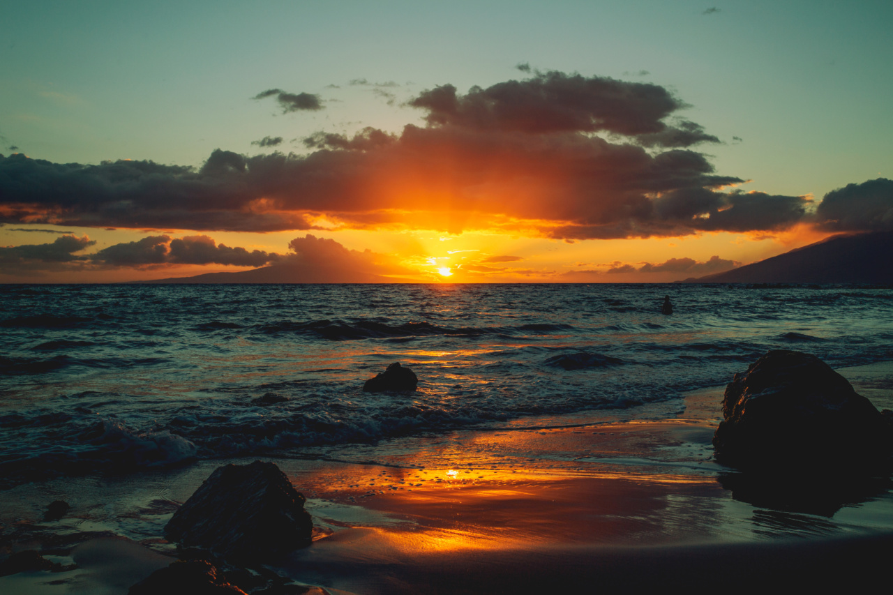The Sea – Dissident Tides that Guard Memories and Soothe Inflammation