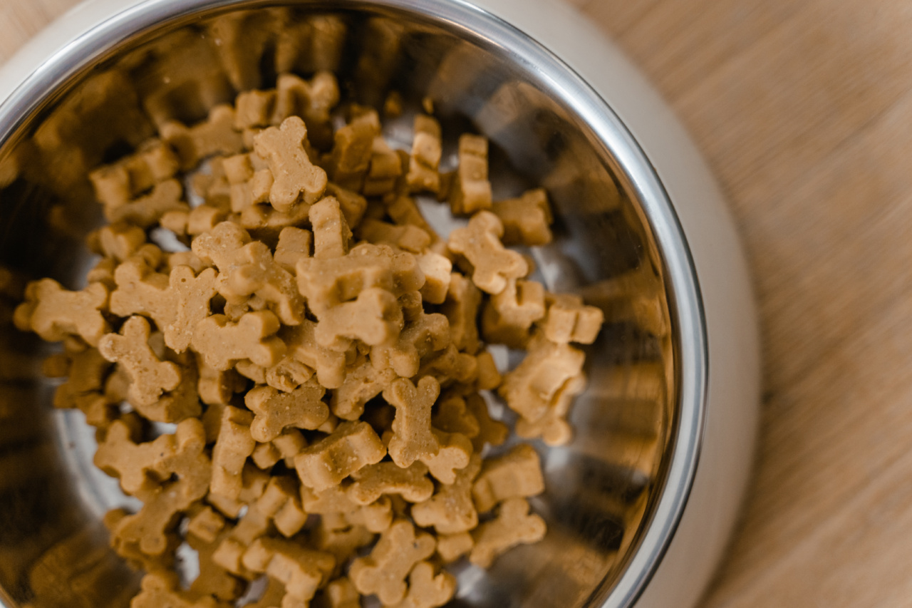 Why you should never overlook cleaning your dog’s food bowl