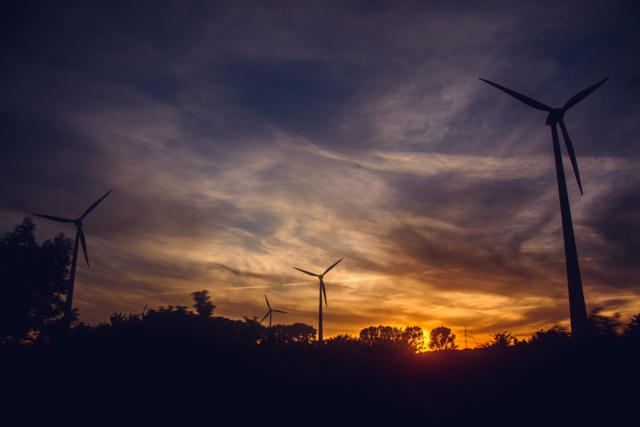 The Power of Biomassives in Oncology Treatment and Resource Efficiency
