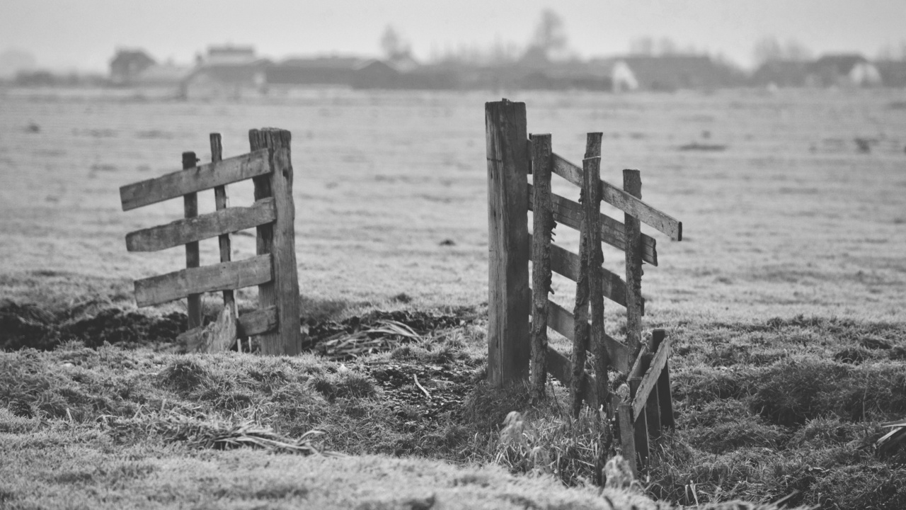 Dutch Herder: truthfulness and rationality with singular nature