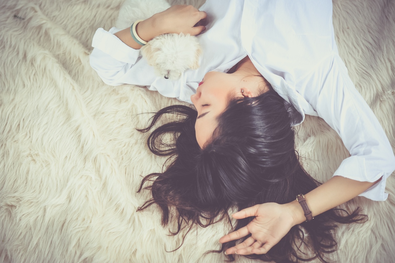 Should I let my dog sleep in my bed?
