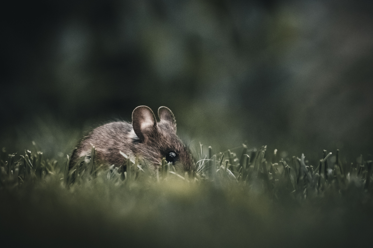 The small habits that harm our ears