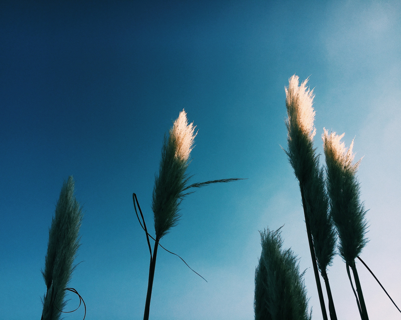 From Thin to Thick: Understanding the Buildup of Stress