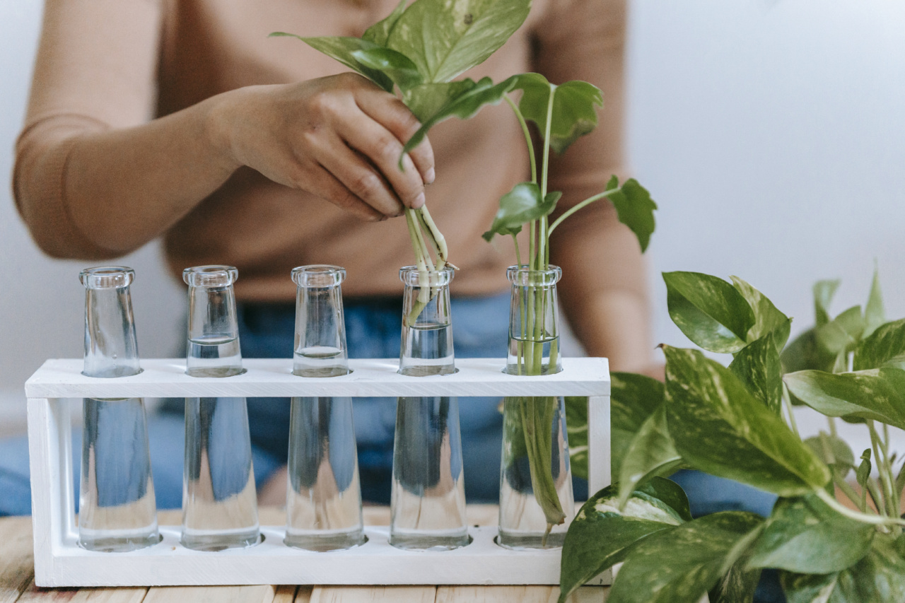 How to get a flat belly naturally with these 6 herb movements