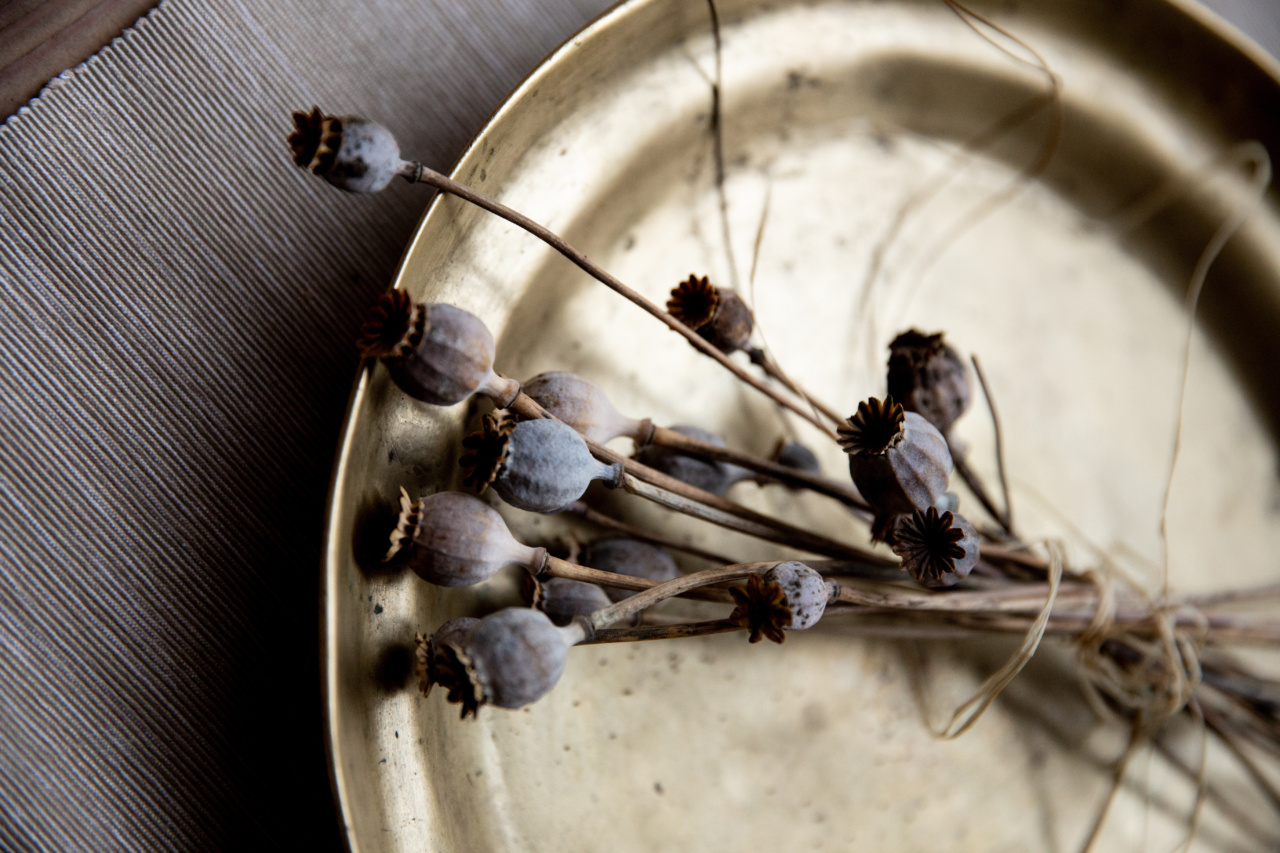 Herbal Medicines: A Novel Approach to Head and Cervical Cancer