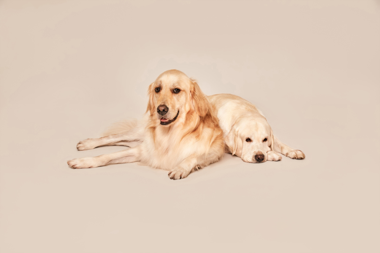 Are neutered pets less interested in mating?