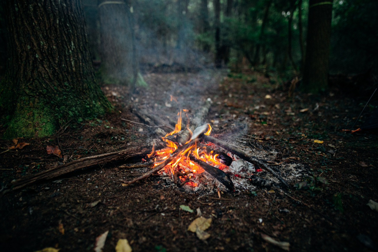 Rising from the Ashes: The Triumph of Fire Creatures