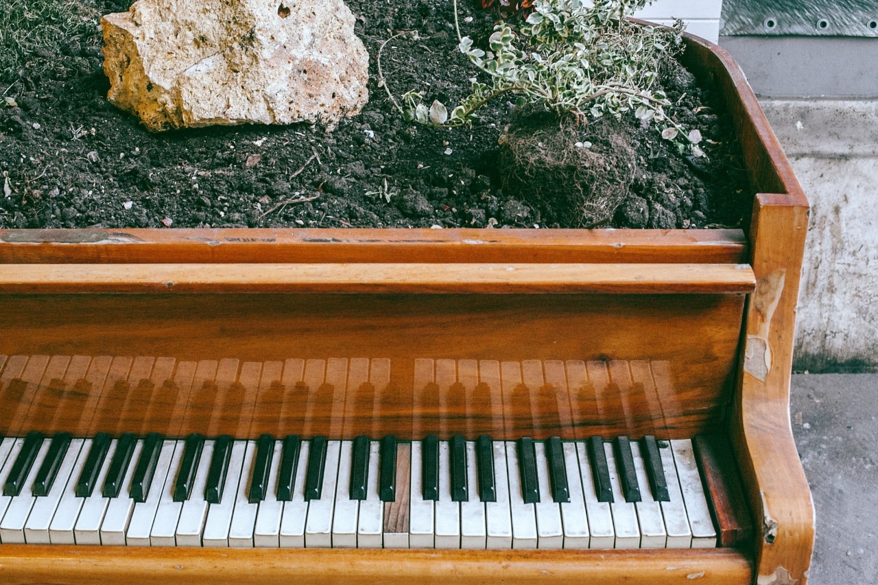 The Key to Living Longer Plant