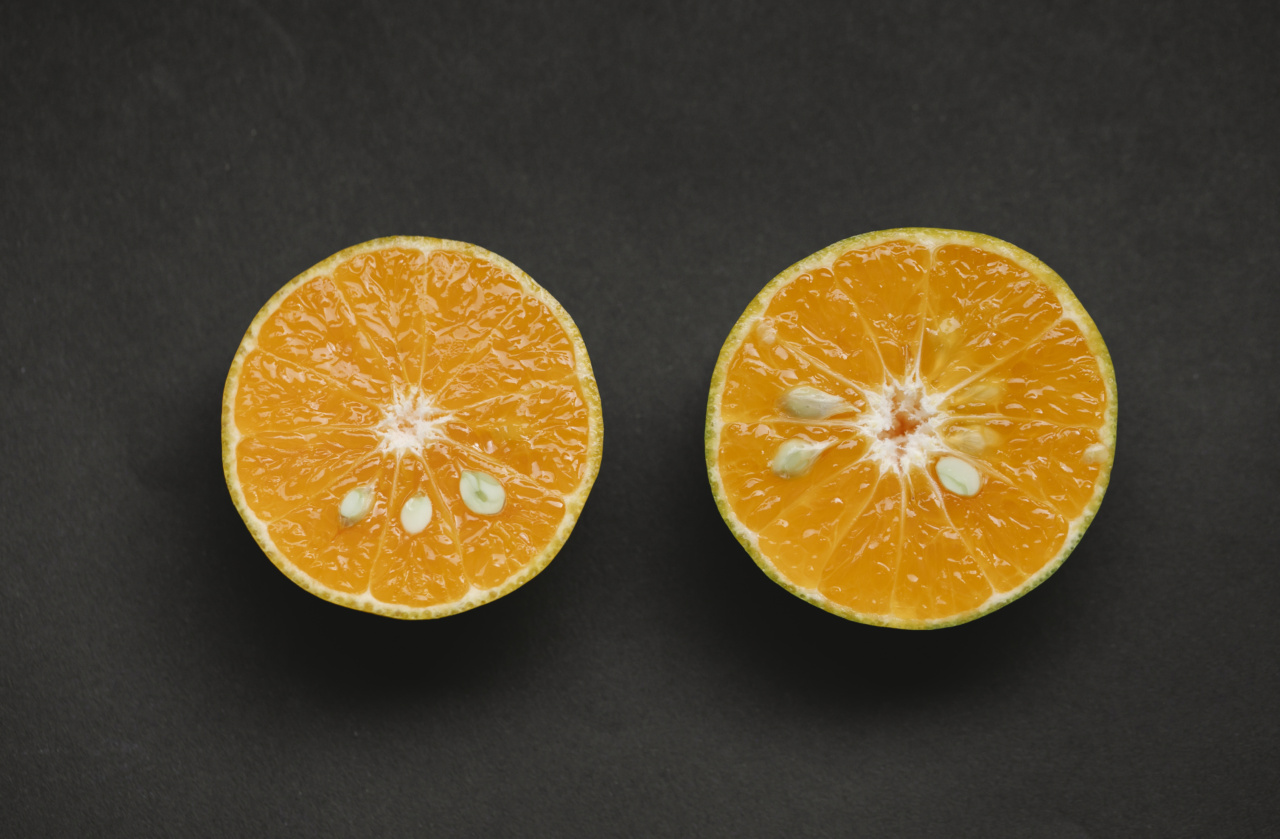 Powerful Antioxidant Fruits: The Sweet and Sour Solution