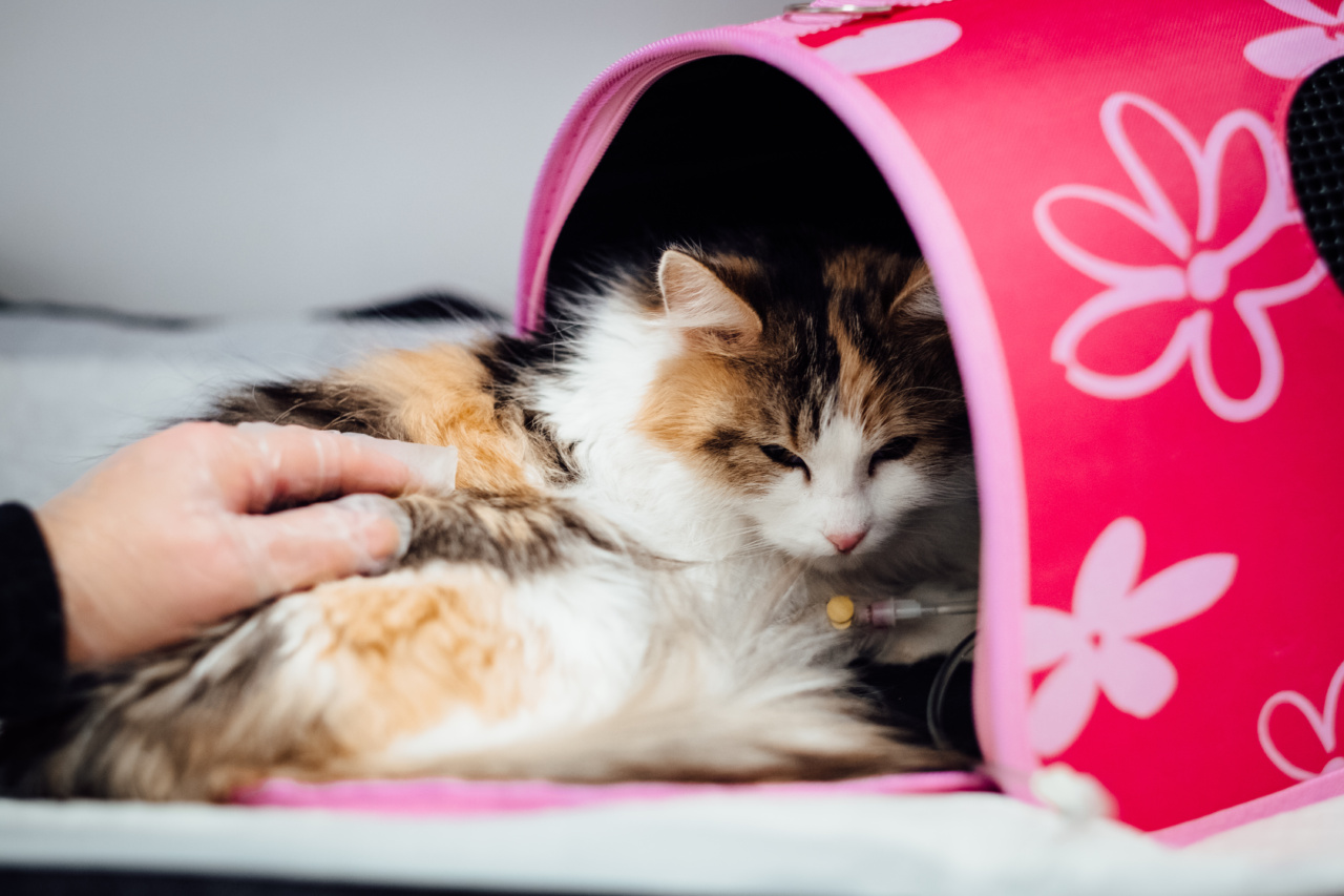 The dangers of relying on sleep medication