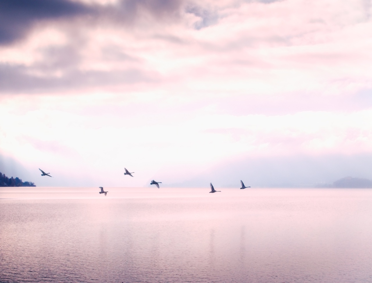 Amazing Tips for Improving Your Mood Without Spending a Fortune