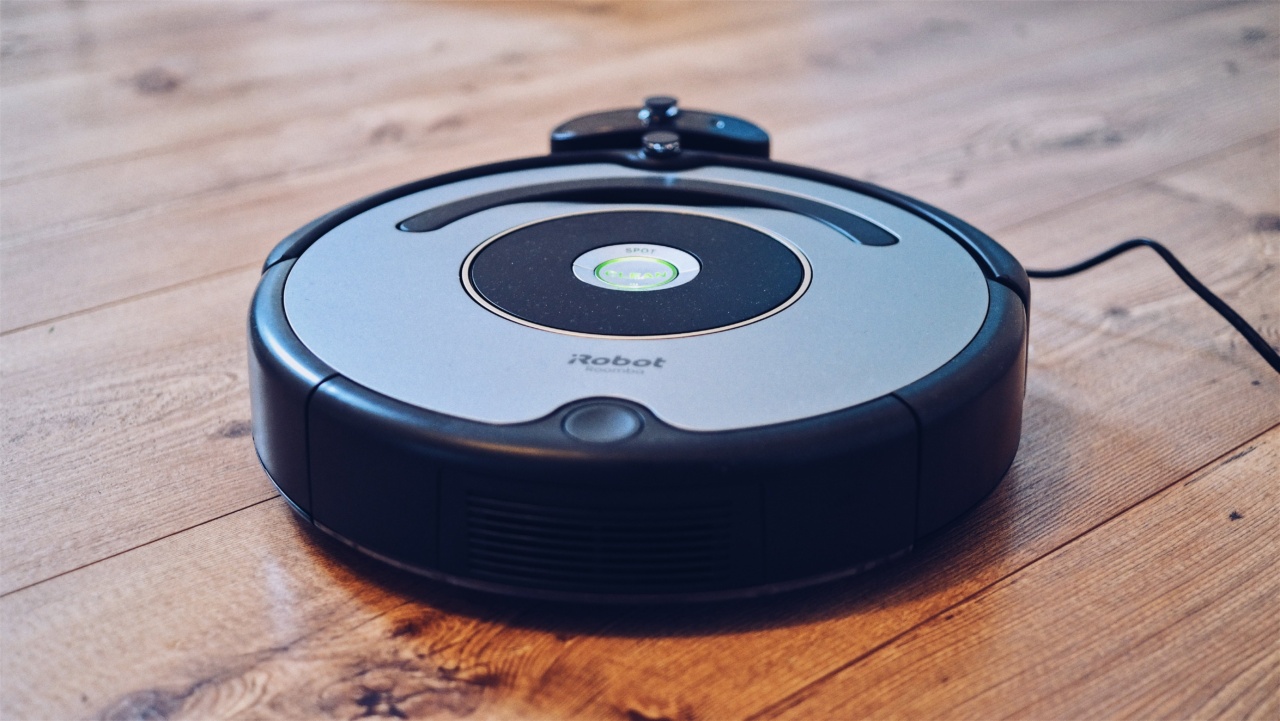 The Solution to Your Dog’s Fear of Vacuum Cleaners and Crowded Places