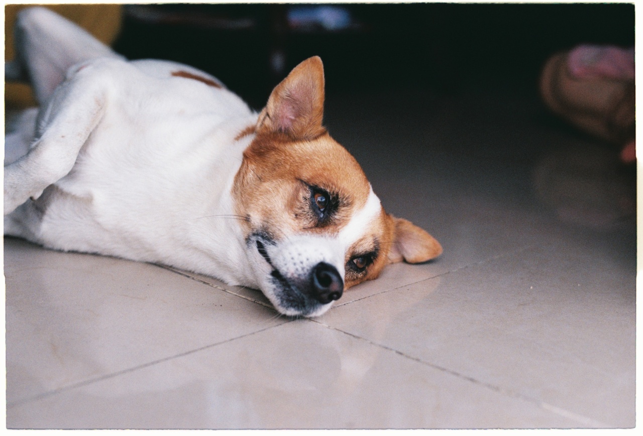 Lazy bowel syndrome: Causes, Symptoms, and Treatments