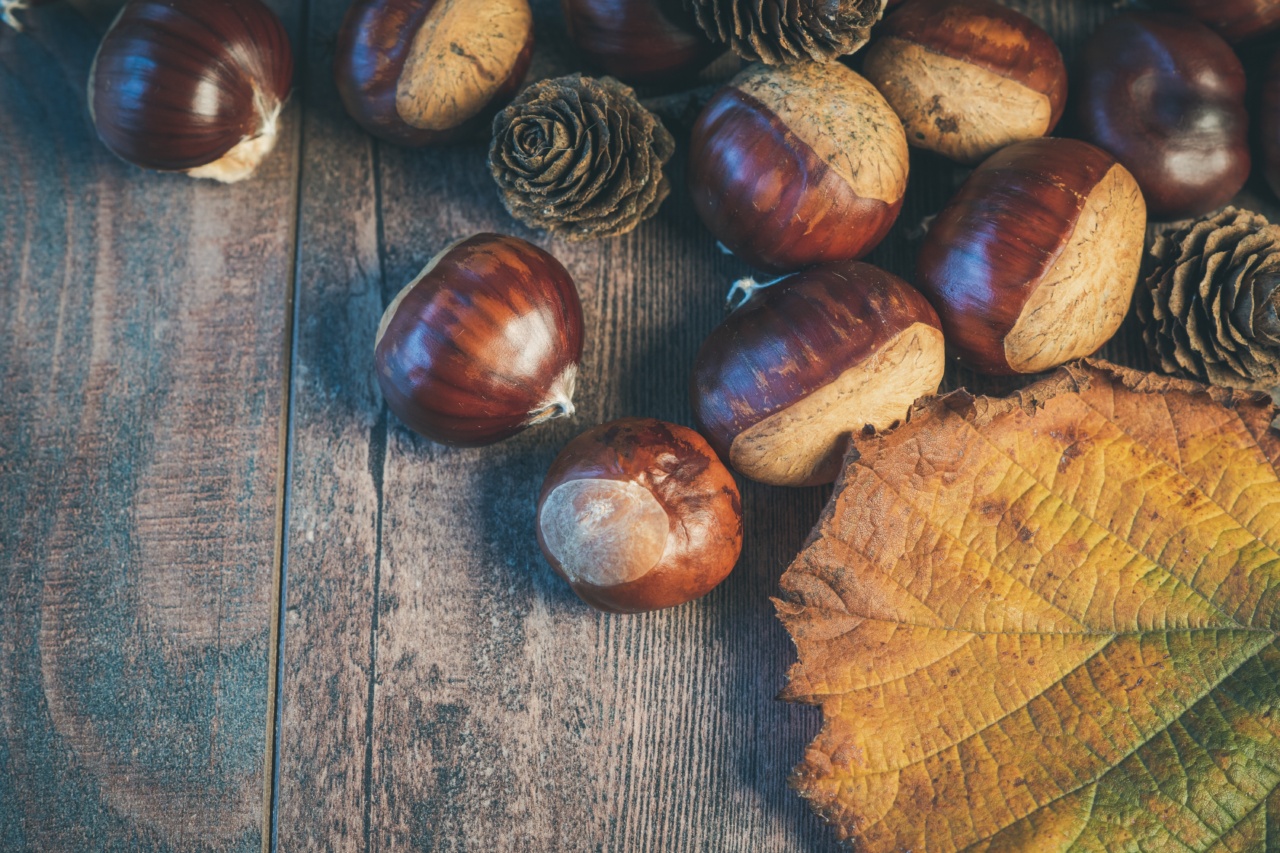 4 delightful ways to savor chestnuts this season