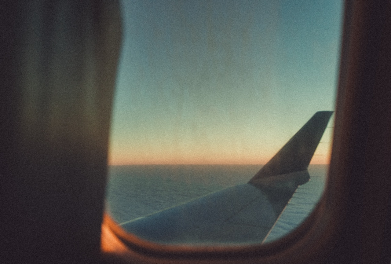 Traveling during pregnancy by plane: is it safe?